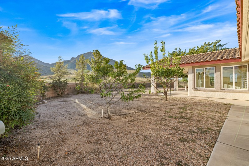 5 Backyard - 4