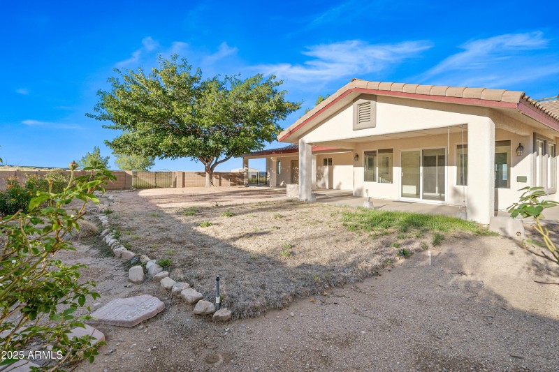 5 Backyard - 5