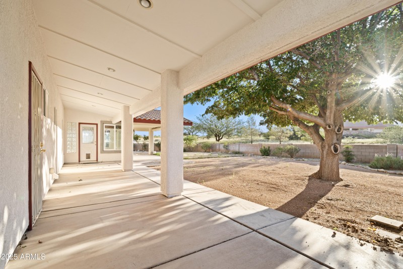 5 Backyard - 7