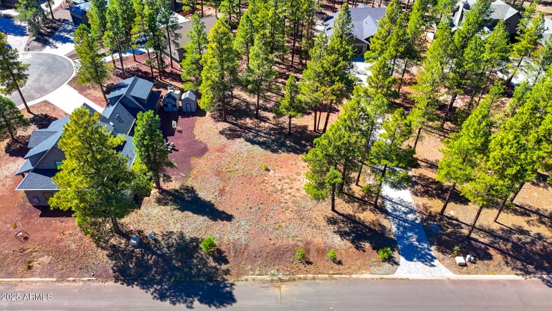 dji_fly_20251002_131126_0831_17595251138