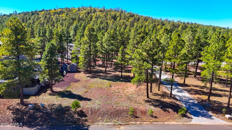 dji_fly_20251002_131050_0823_17595251161