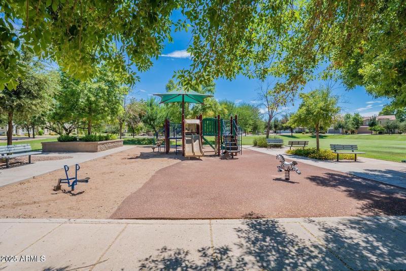 Play Area