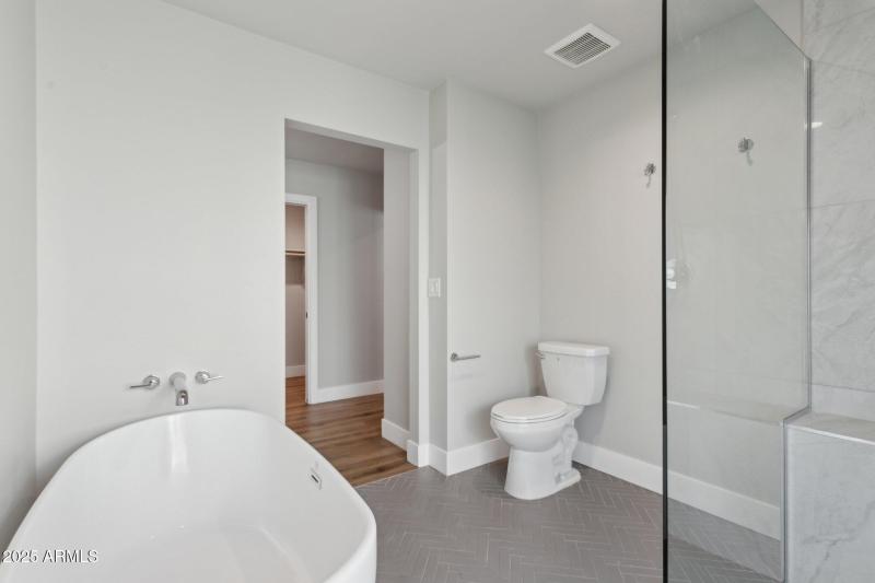 Primary bath & shower area