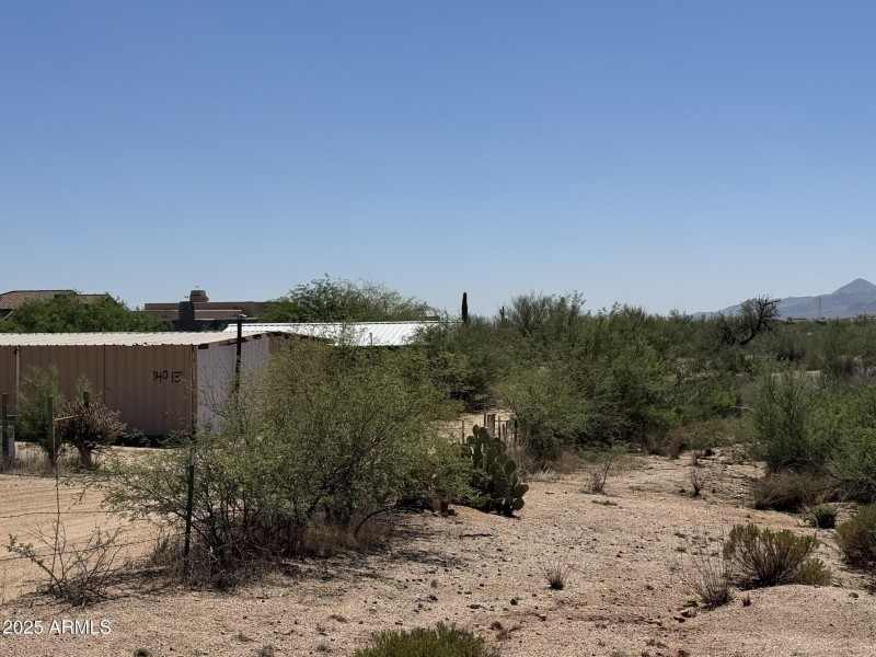 Natural Desert Vegetation