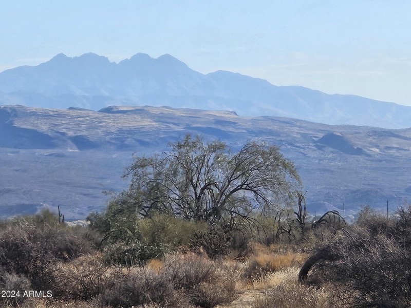 Electric box on property