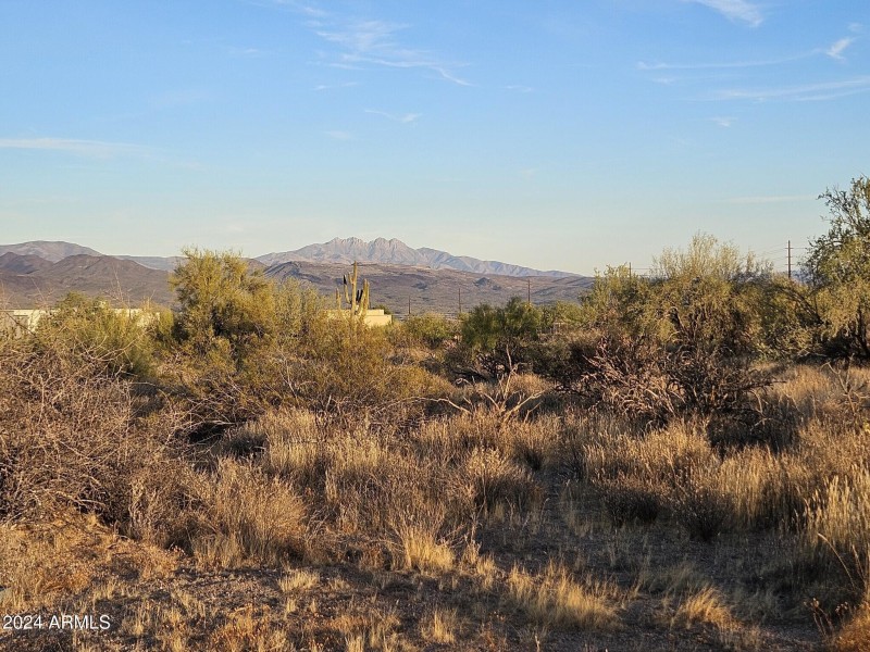 4 peaks in your backyard