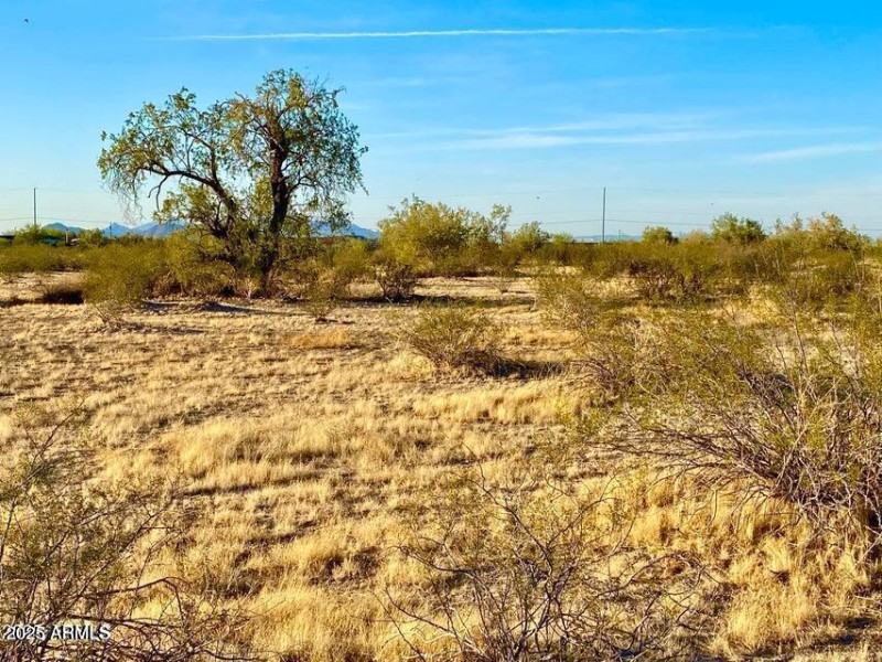 20250410200605180106000000-o (2)