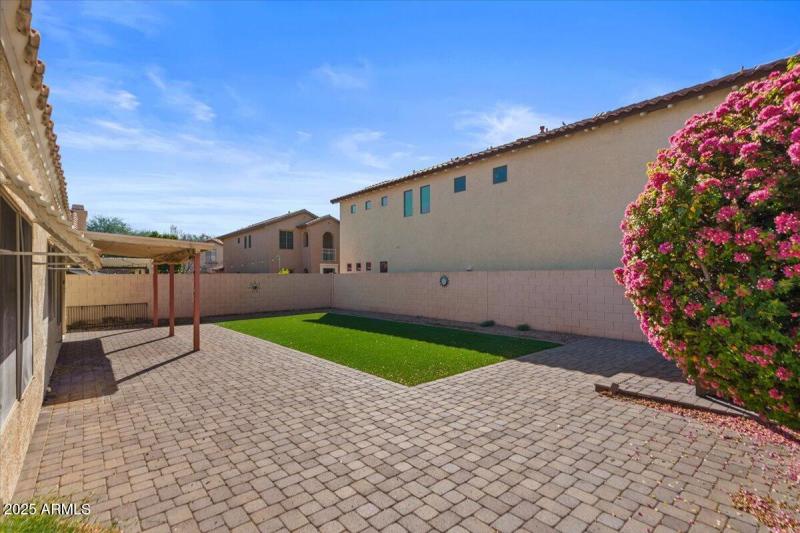 31-Back yard