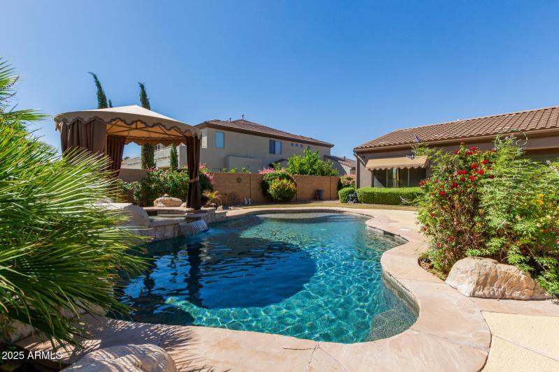 Back Yard Pool View