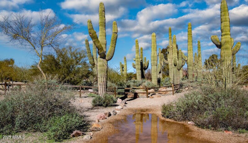 Gilbert Park