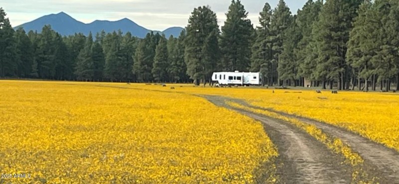 Kelly Canyon Estates 1