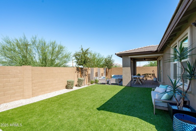 Backyard View