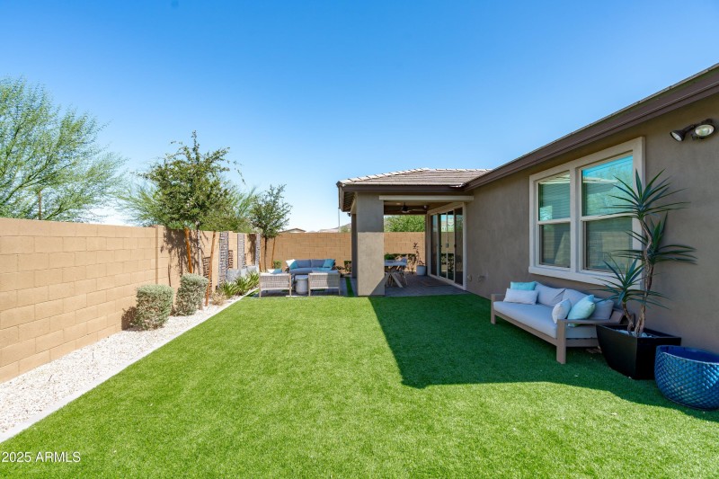 Backyard View