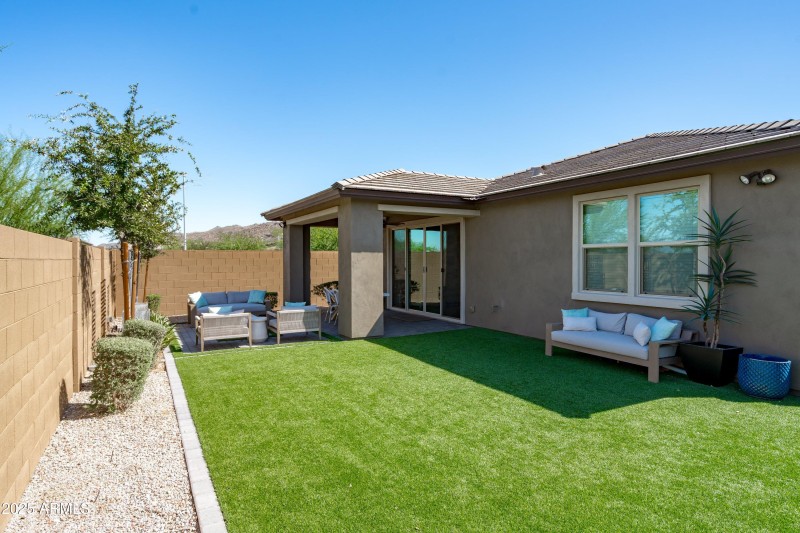 Backyard View