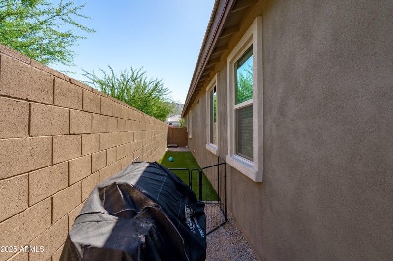 Dog Run Side Yard