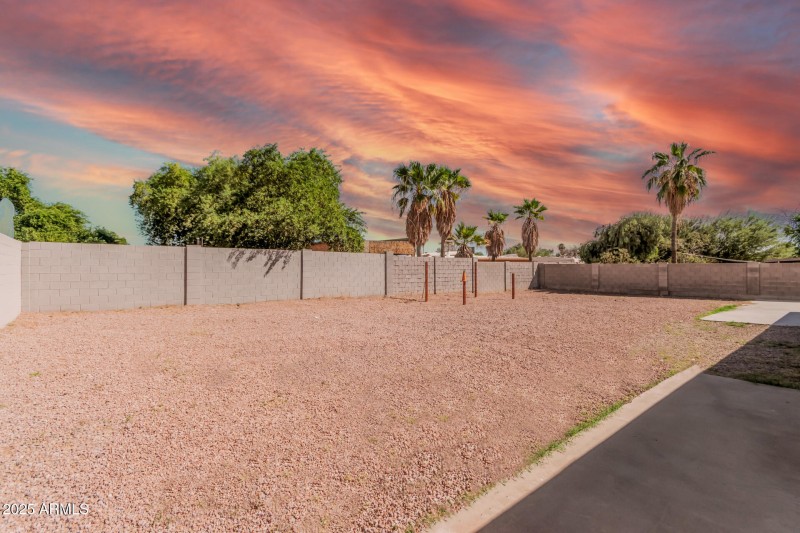 Backyard