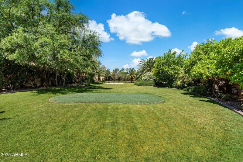 LARGE YARD