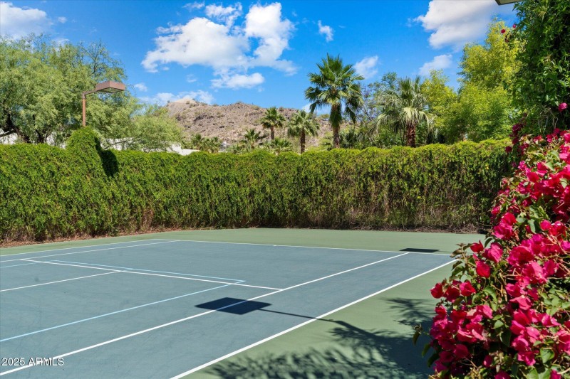 TENNIS COURT