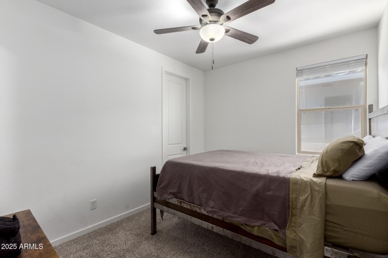 22 Palo Verde
