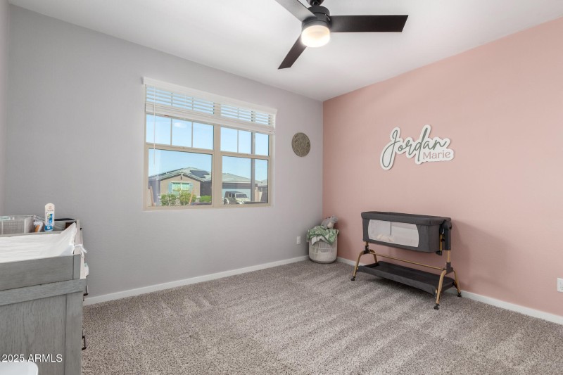 25 Palo Verde