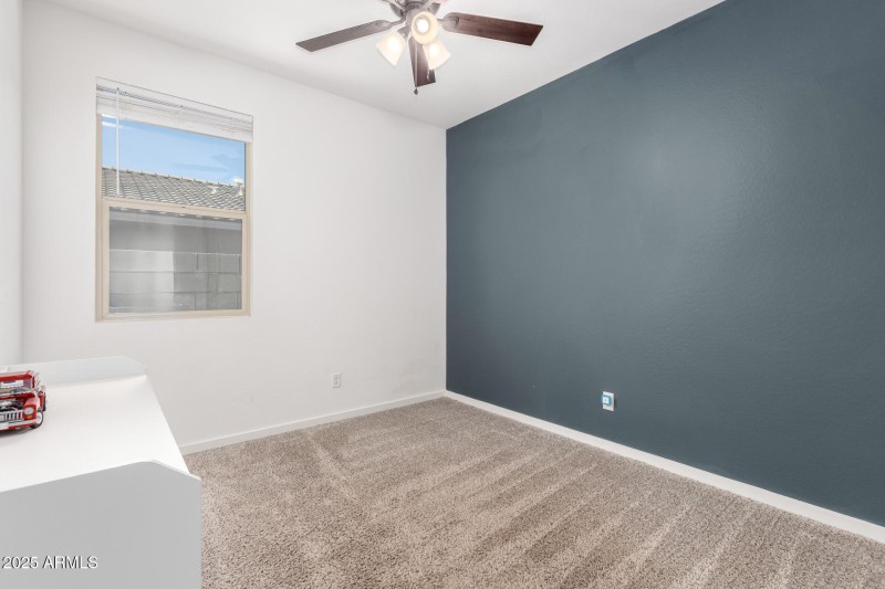 30 Palo Verde