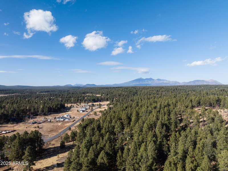 DJI_0219