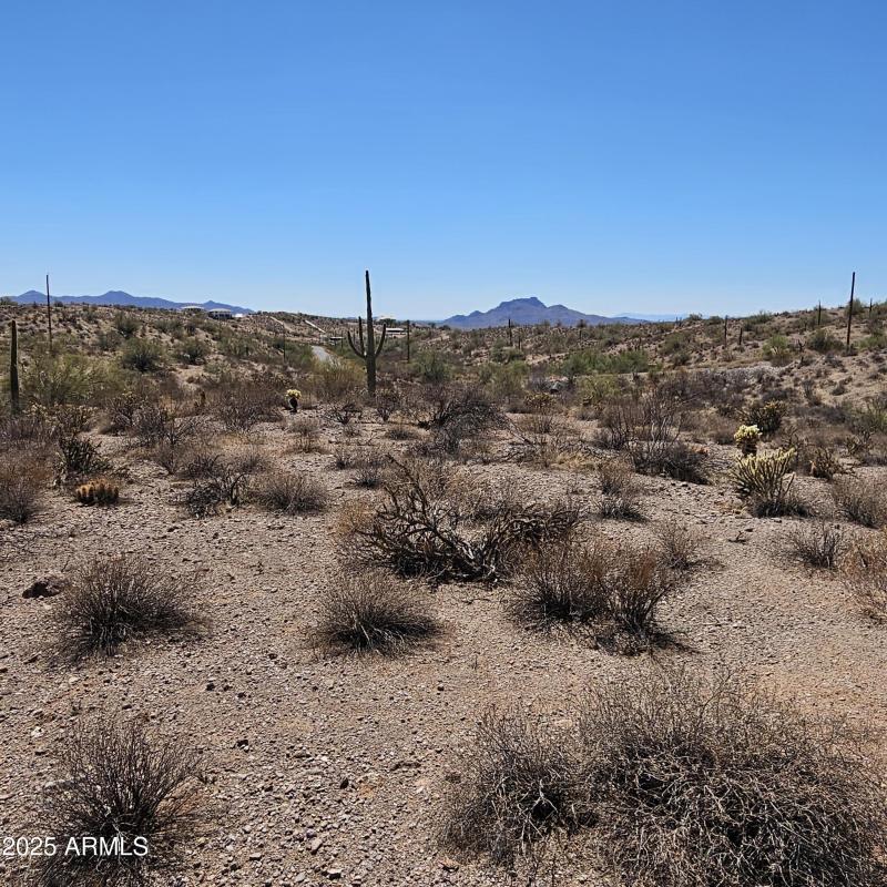 Mountain Views with Saguaro