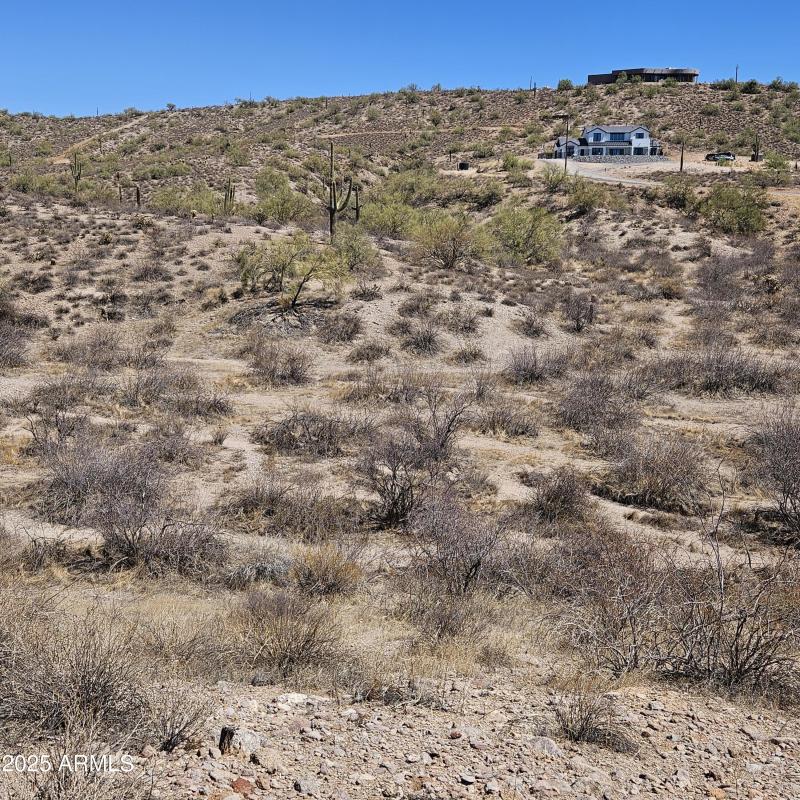 Proposed Building Site with Saguaro