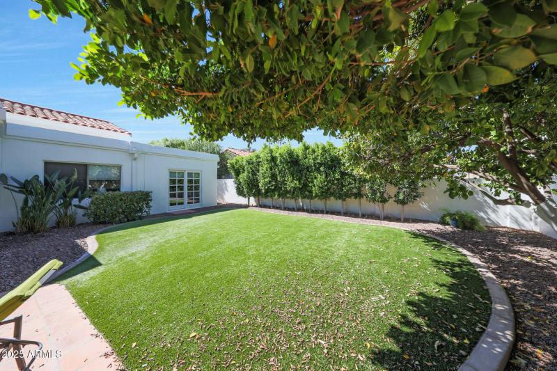 Backyard