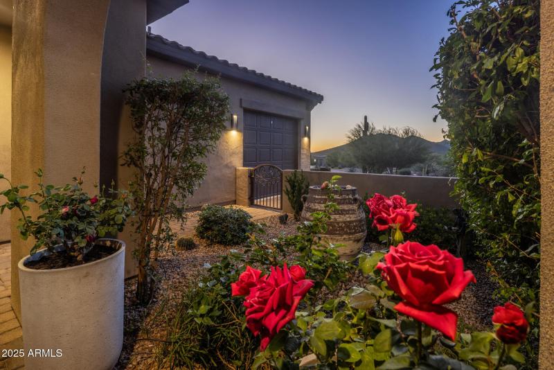 Romantic Courtyard