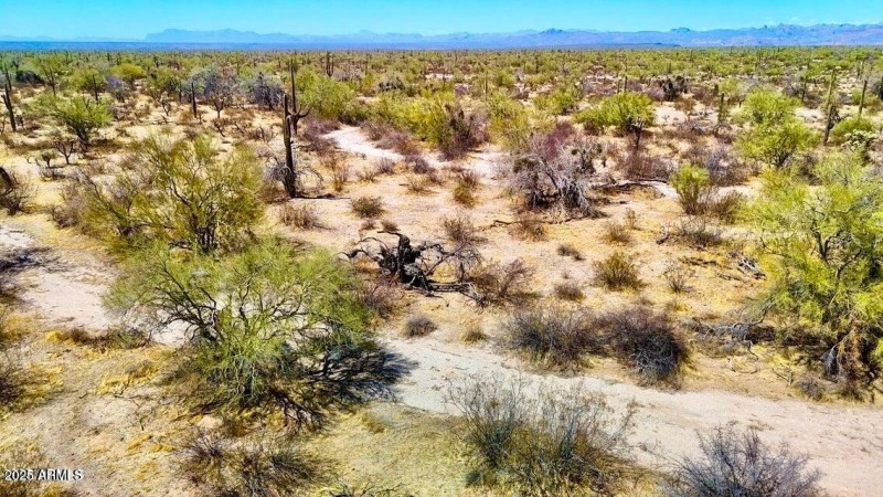 20250821053301569625000000-o (2)