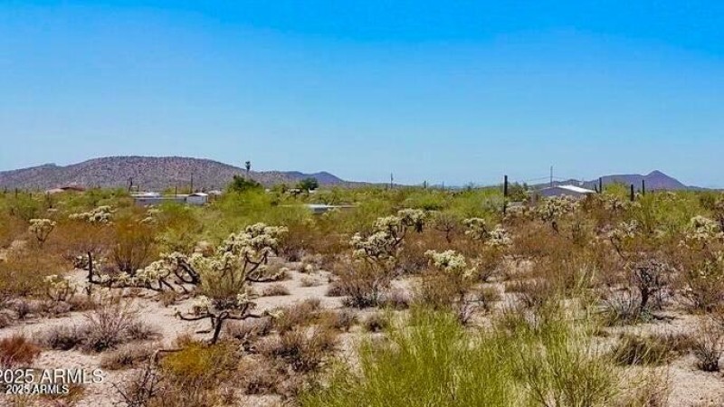 20250821053411150656000000-o (2)