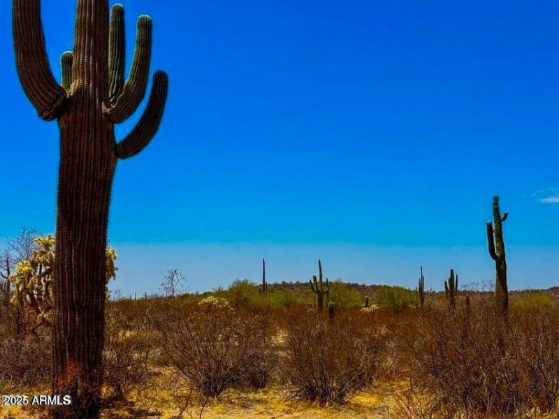 20250821052651541355000000-o (2)