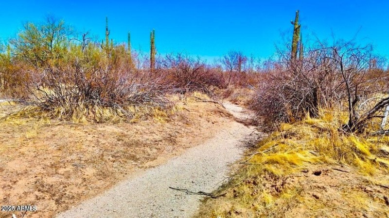 20250821053003762188000000-o (2)