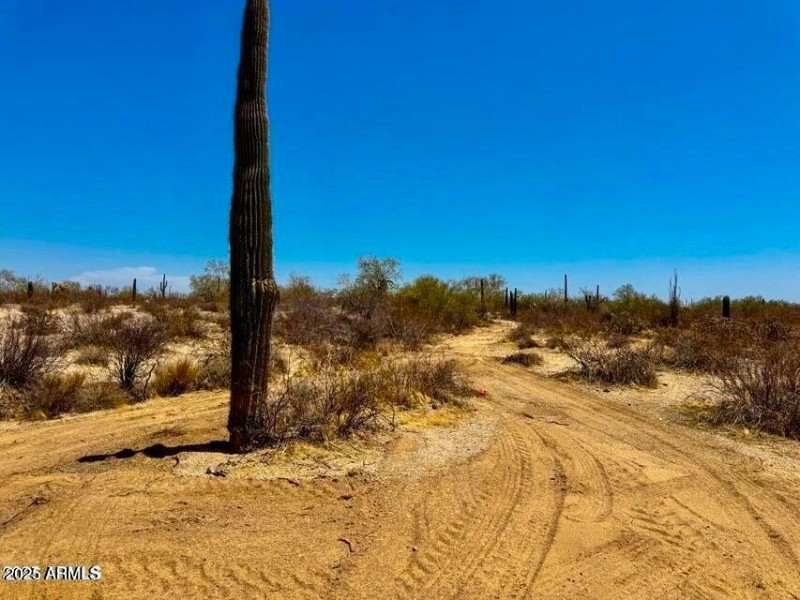 20250821053015173204000000-o (2)