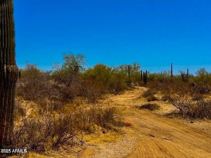 20250821052624474132000000-o (2)