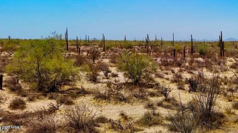 20250821052700735173000000-o (2)