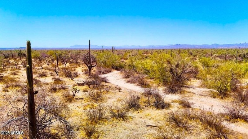 20250821052710804371000000-o (2)