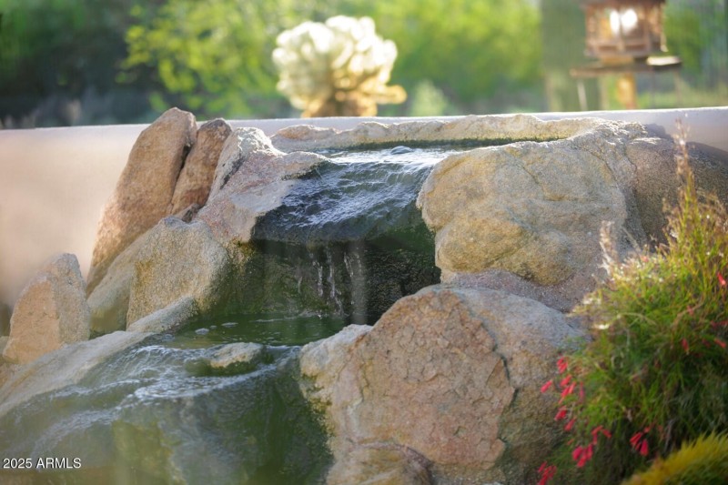 Water Feature