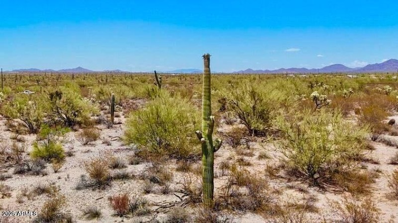 20250821053222918618000000-o (2)