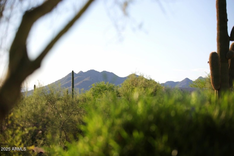 View of Black Mountain