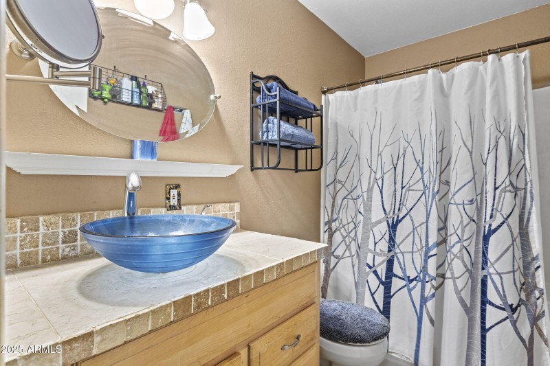 3414 W Gelding Dr Phoenix - 334