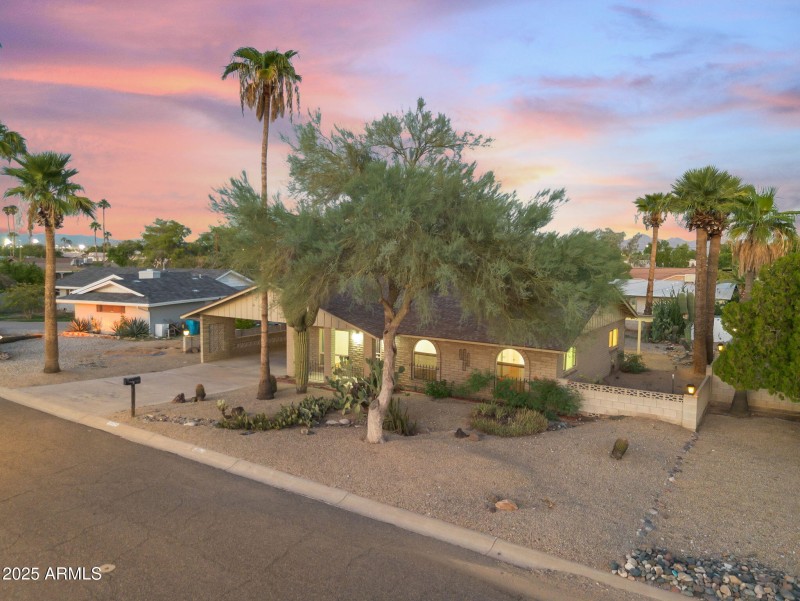 Easy-care desert landscape