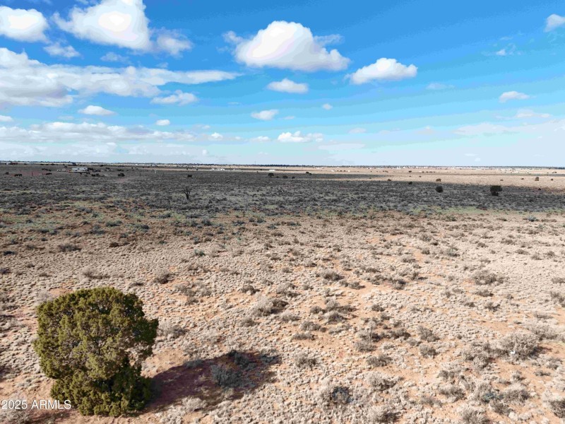 DJI_20250127110823_0985_D