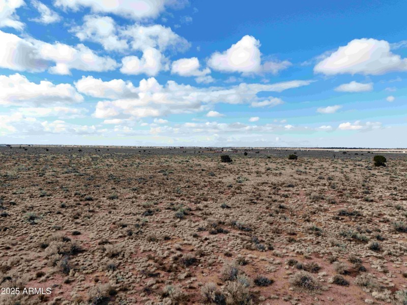 DJI_20250127110902_0991_D