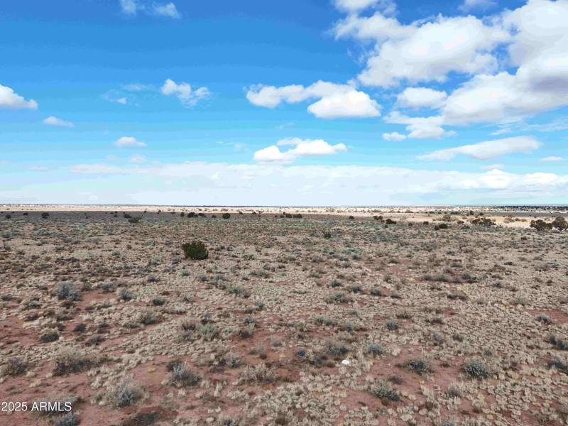 DJI_20250127110907_0993_D