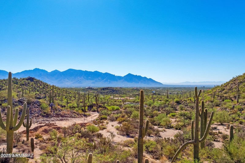 14124 N Tortolita Estates Drive