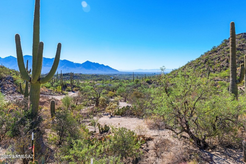 14124 N Tortolita Estates Drive