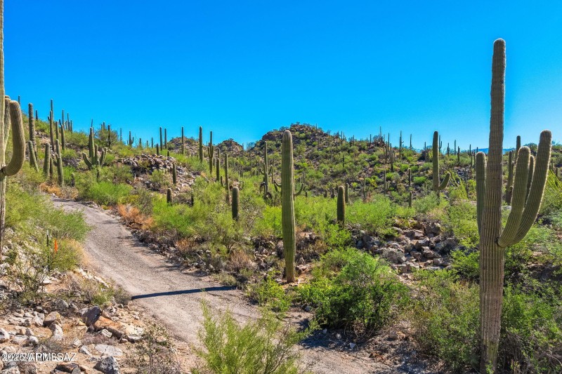 14124 N Tortolita Estates Drive