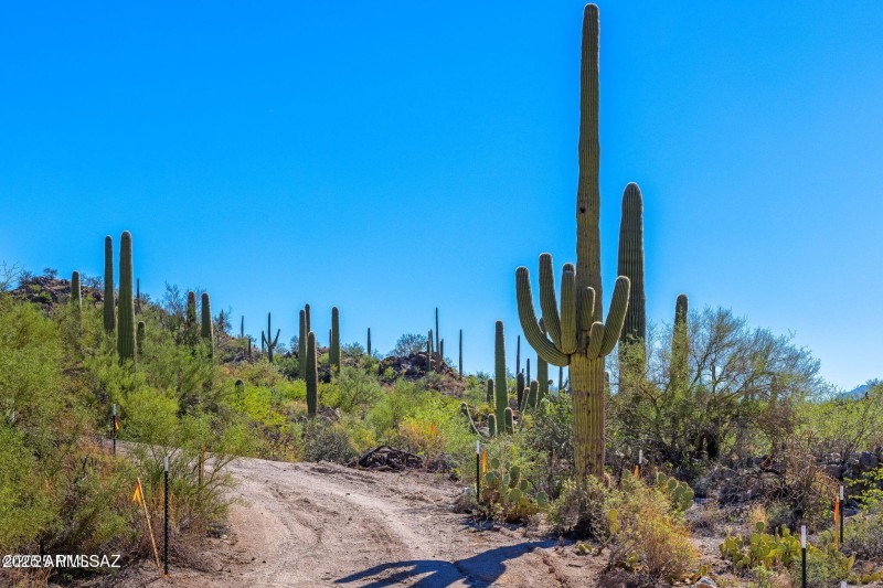 14124 N Tortolita Estates Drive